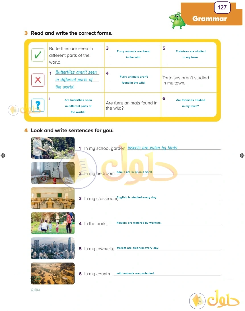 حل كتاب النشاط اللغة الإنجليزية سادس ابتدائي صفحة 127 — Living Things — Grammar