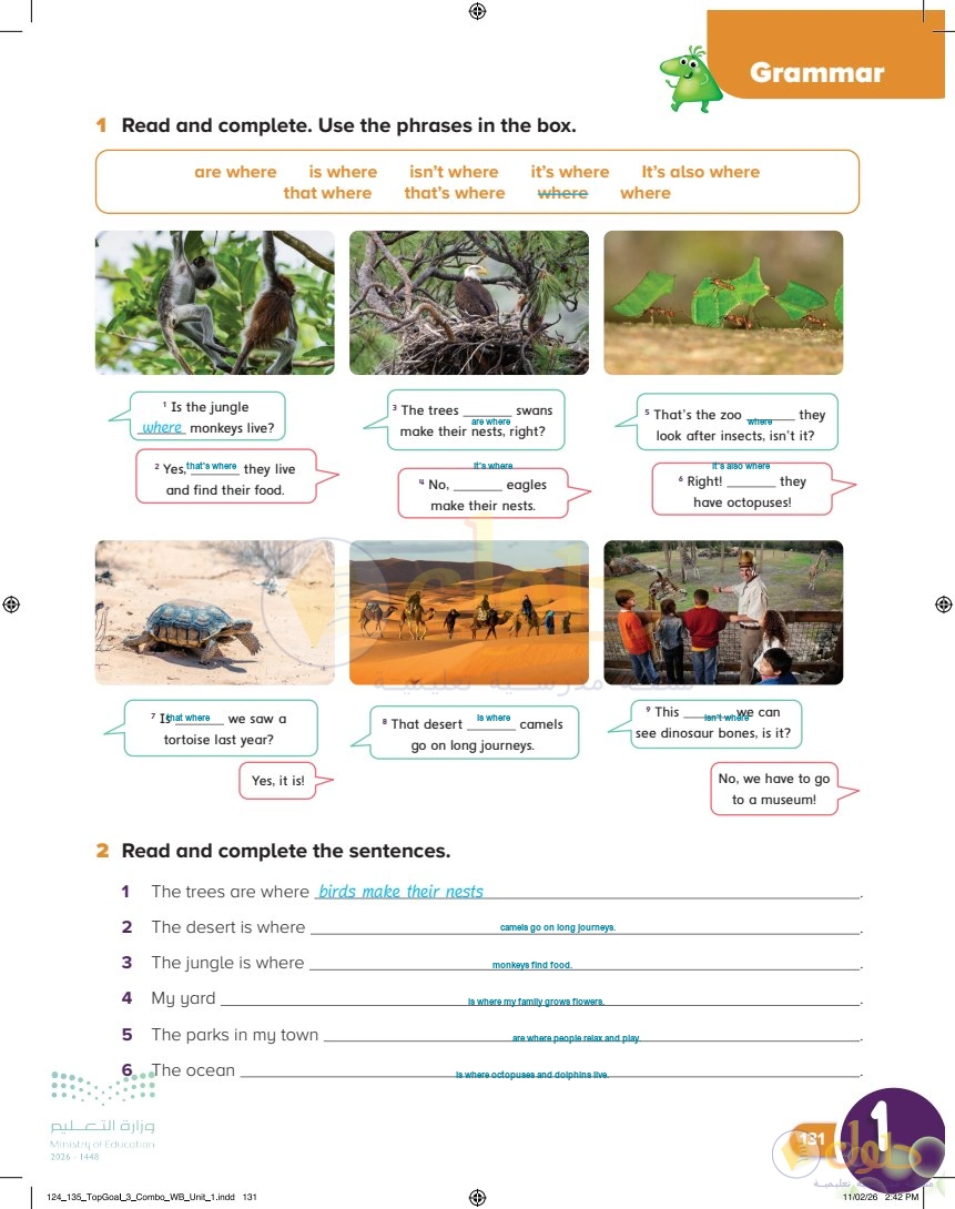 حل كتاب النشاط اللغة الإنجليزية سادس ابتدائي صفحة 131 — Living Things — Grammar