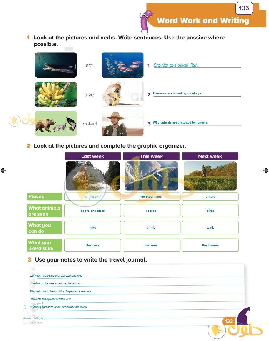 حل كتاب النشاط اللغة الإنجليزية سادس ابتدائي صفحة 133 — Living Things — Word Work and Writing