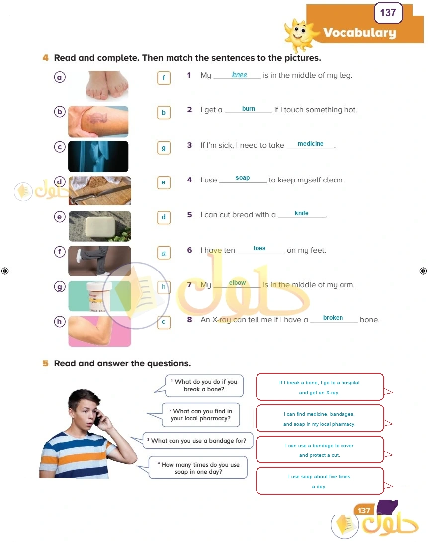 حل كتاب النشاط اللغة الإنجليزية سادس ابتدائي صفحة 137 — Lifestyles — Vocabulary