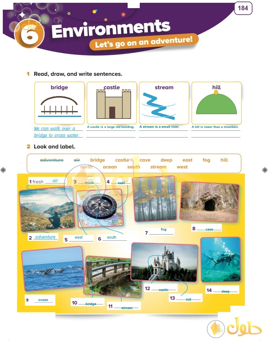حل كتاب النشاط اللغة الإنجليزية سادس ابتدائي صفحة 184 — Environments — Activities