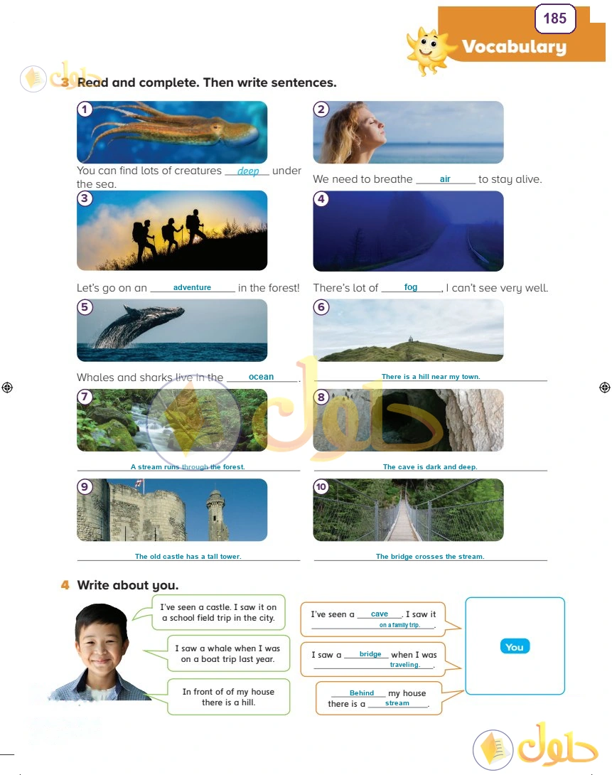 حل كتاب النشاط اللغة الإنجليزية سادس ابتدائي صفحة 185 — Environments — Vocabulary