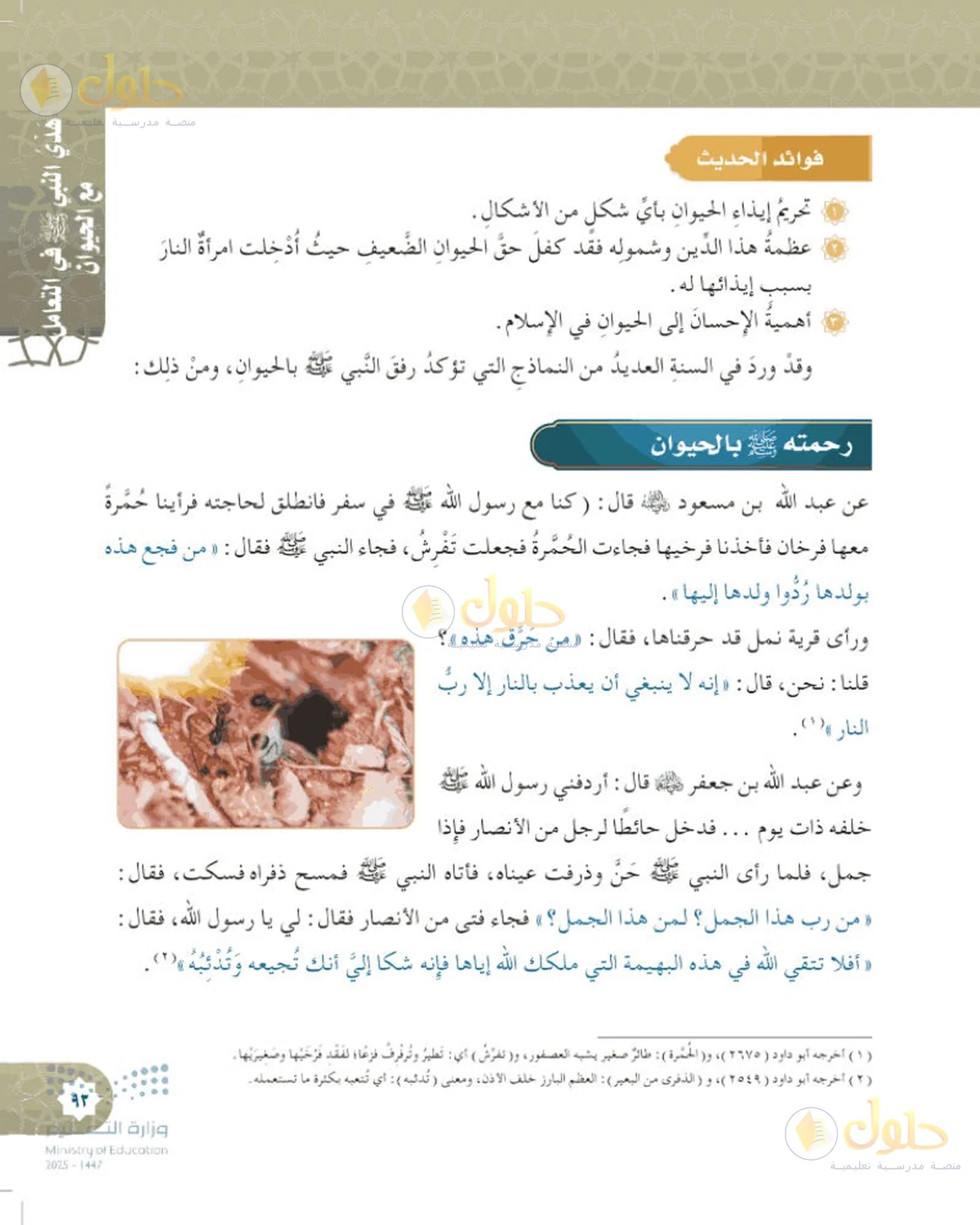 حل الحديث والسيرة للصف السادس الابتدائي صفحة 93