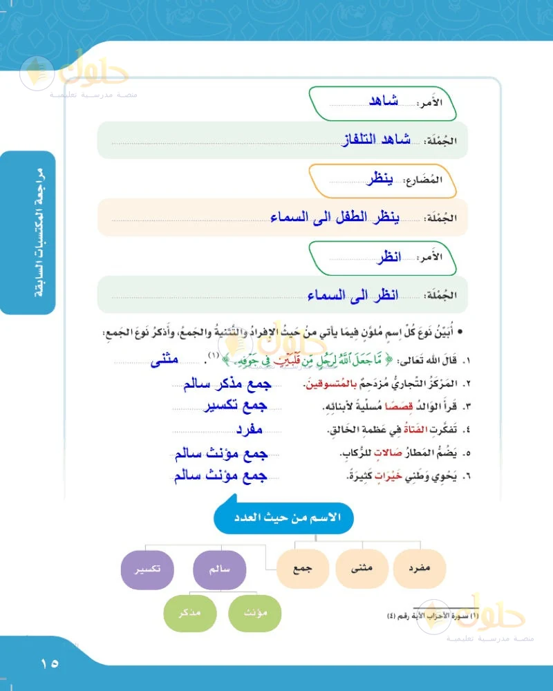 حل لغتي الجميلة للصف السادس الابتدائي صفحة 15: أبين نوع كل اسم ملون من حيث الإفراد والتثنية والجمع
