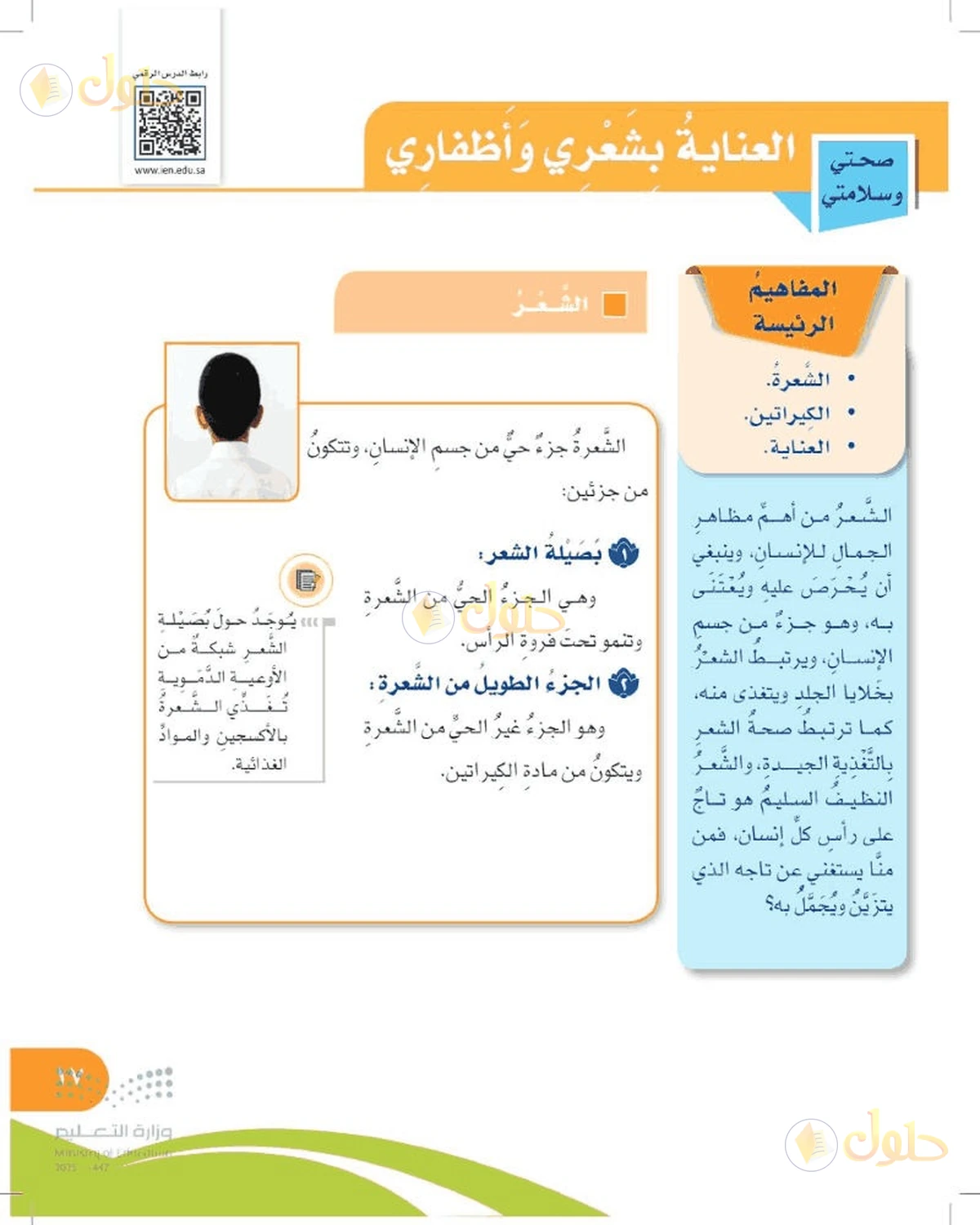 حل المهارات الحياتية والأسرية للصف السادس الابتدائي صفحة 17