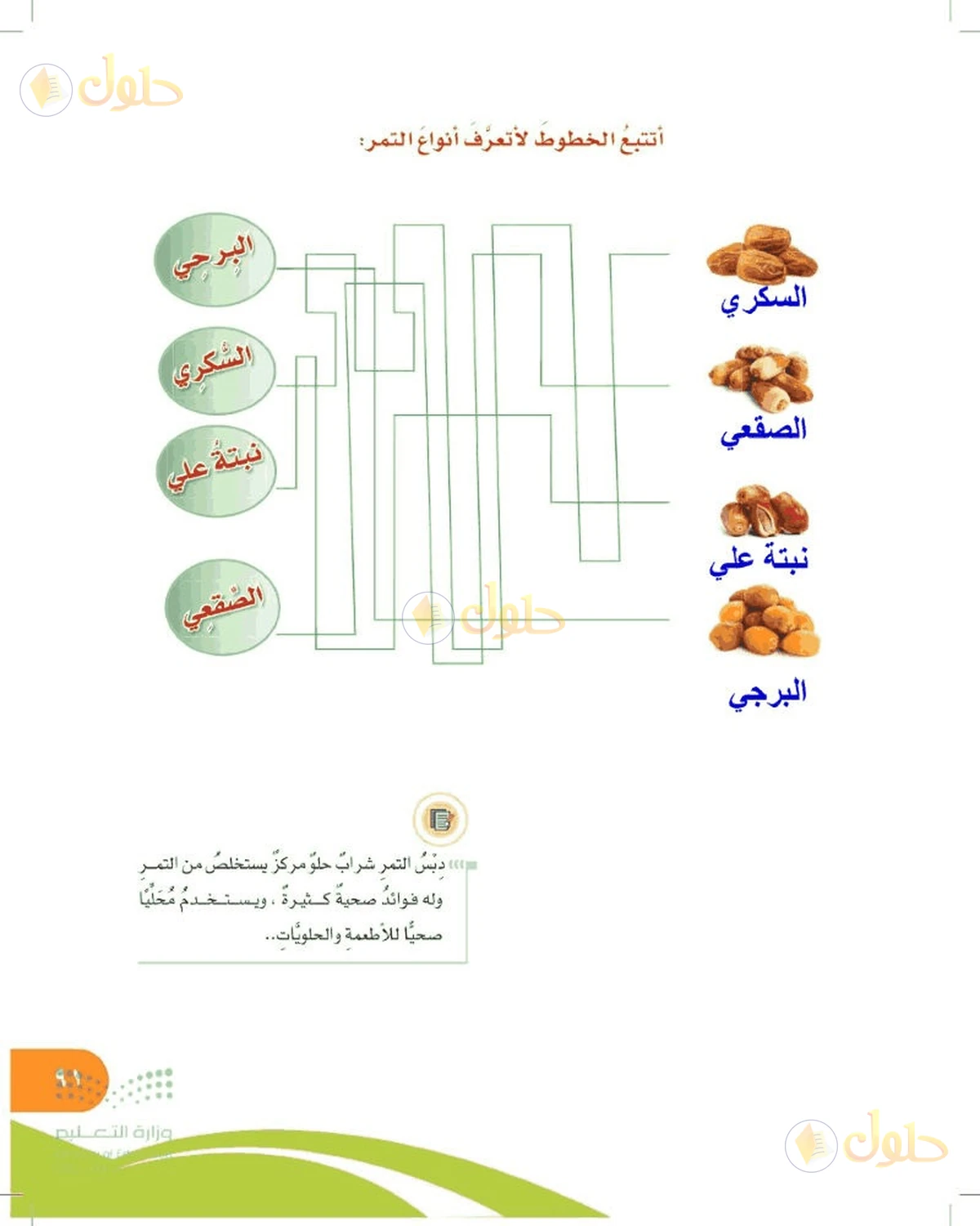 حل المهارات الحياتية والأسرية للصف السادس الابتدائي صفحة 91
