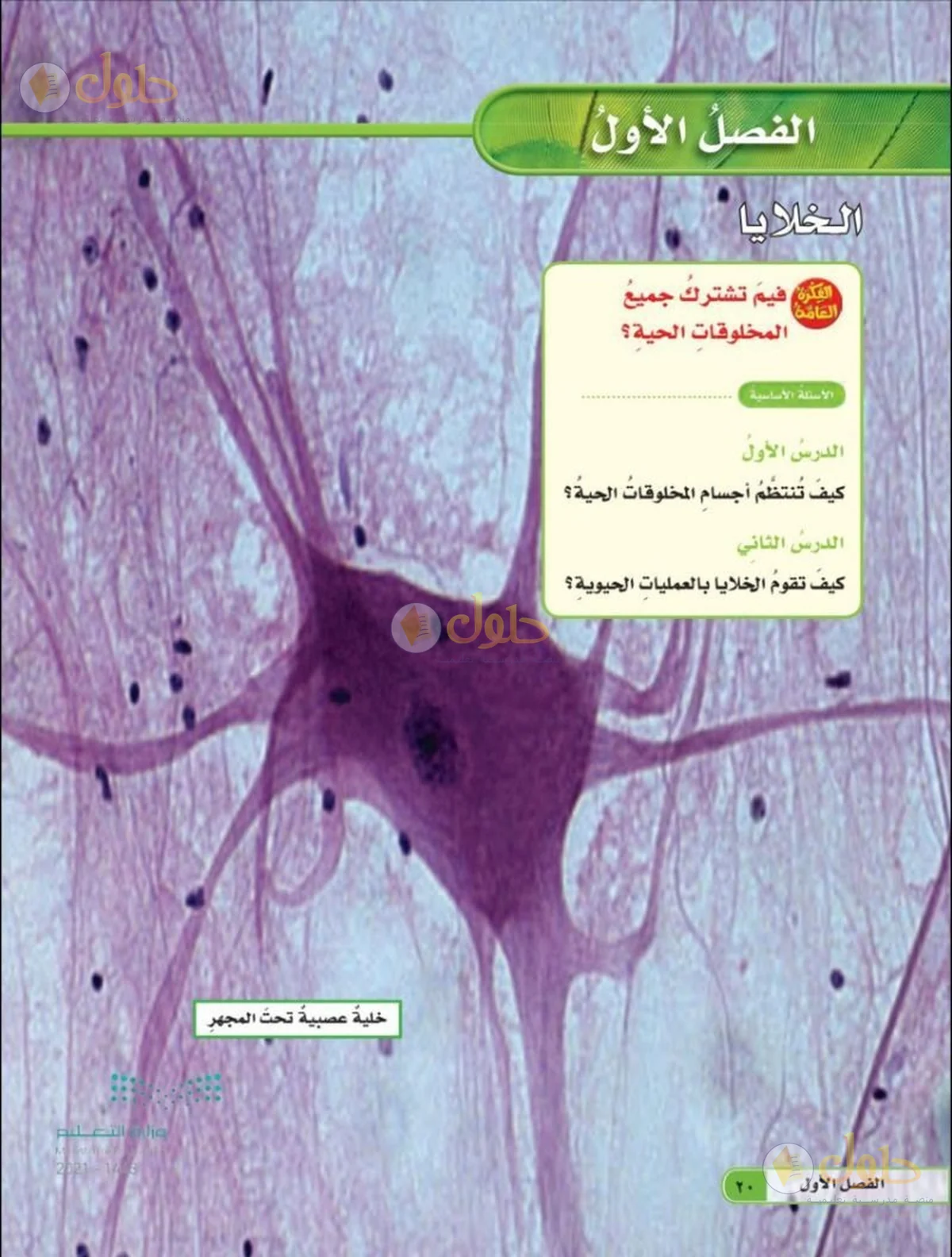 حل العلوم للصف السادس الابتدائي صفحة 20