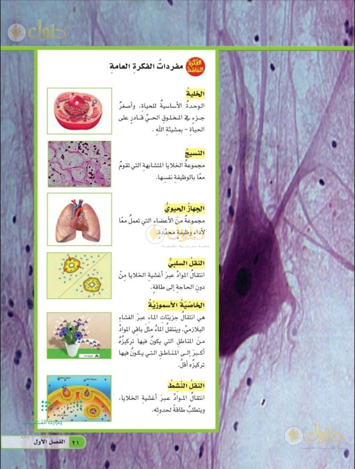 حل العلوم للصف السادس الابتدائي صفحة 21