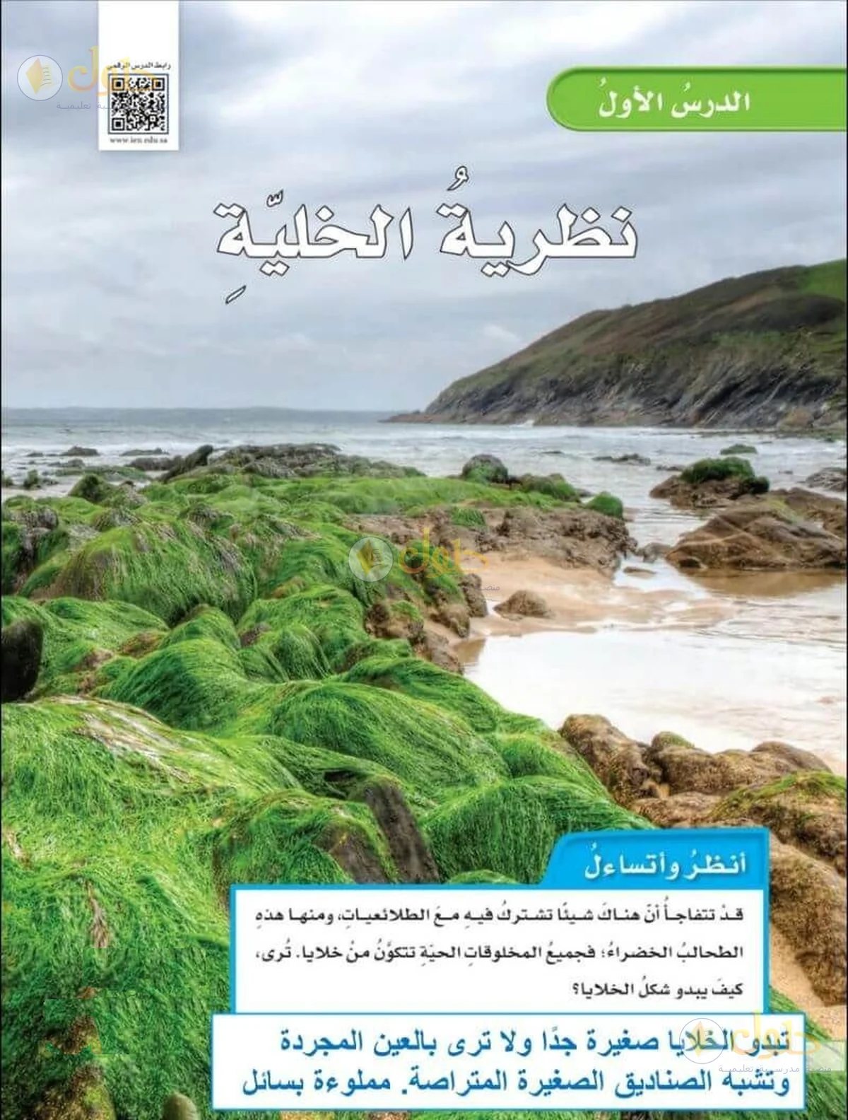 حل العلوم للصف السادس الابتدائي صفحة 22