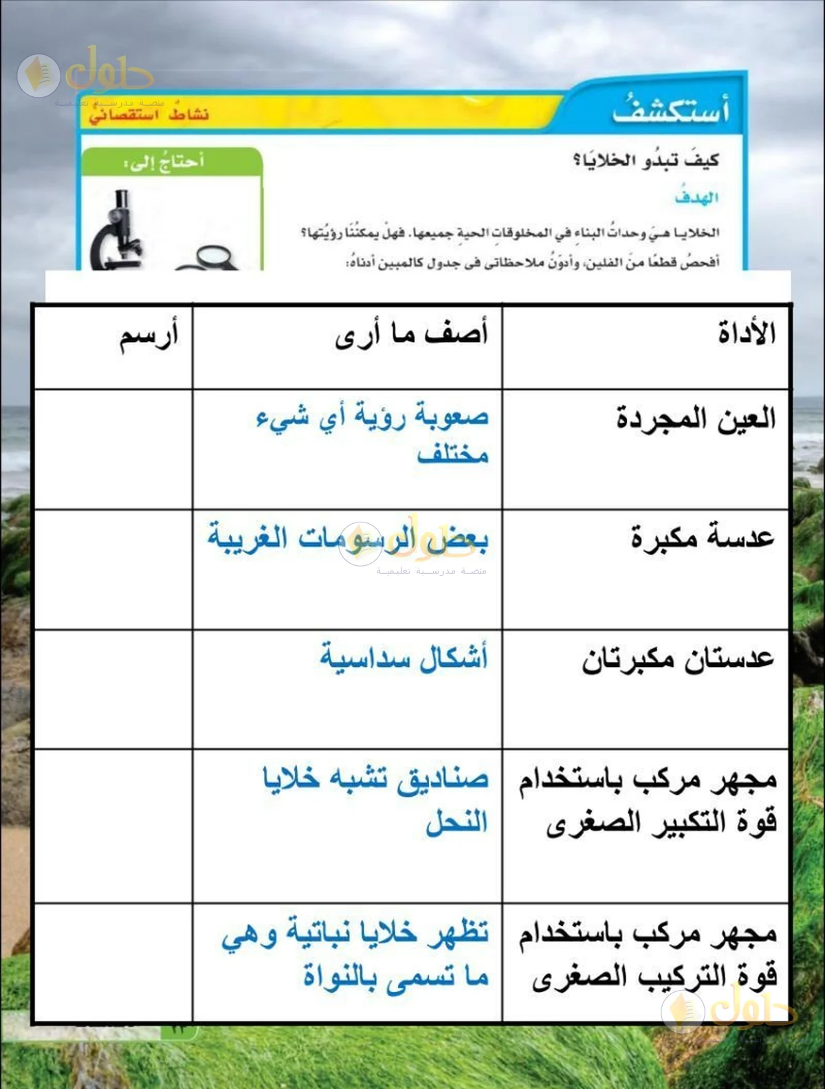 حل العلوم للصف السادس الابتدائي صفحة 23 — الجزء 1
