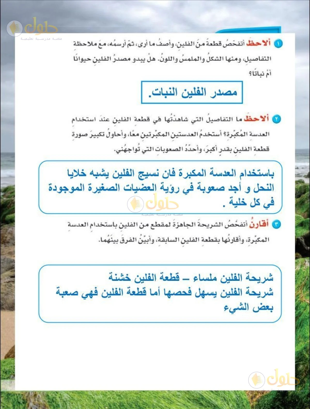 حل العلوم للصف السادس الابتدائي صفحة 23 — الجزء 2