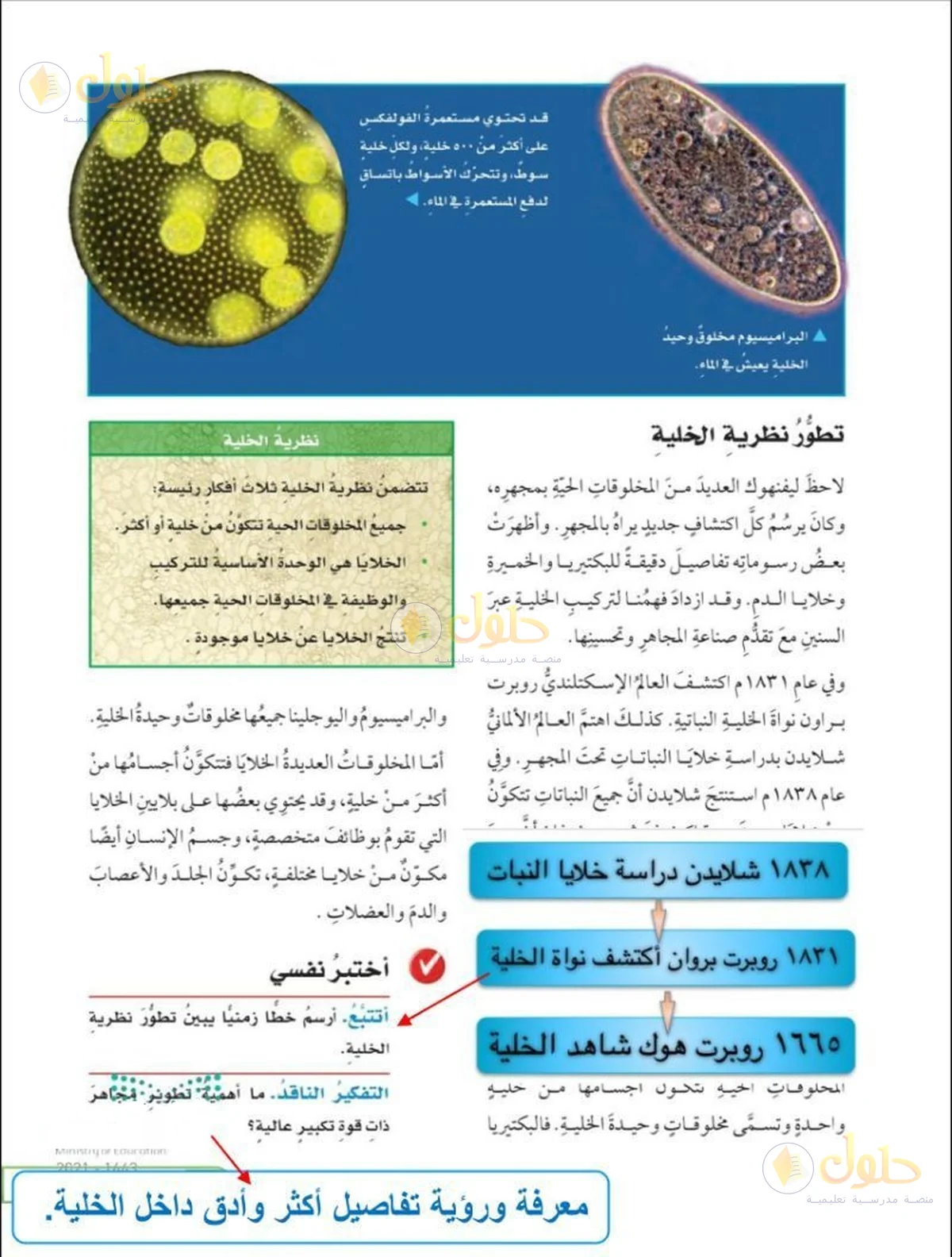 حل العلوم للصف السادس الابتدائي صفحة 25