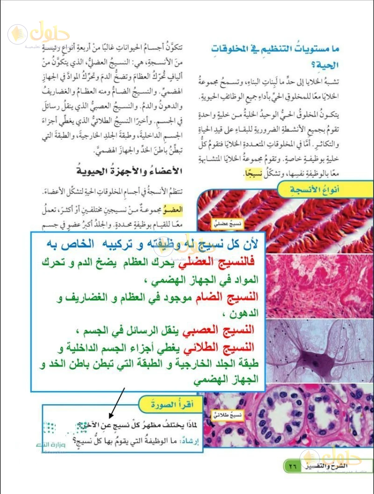 حل العلوم للصف السادس الابتدائي صفحة 26