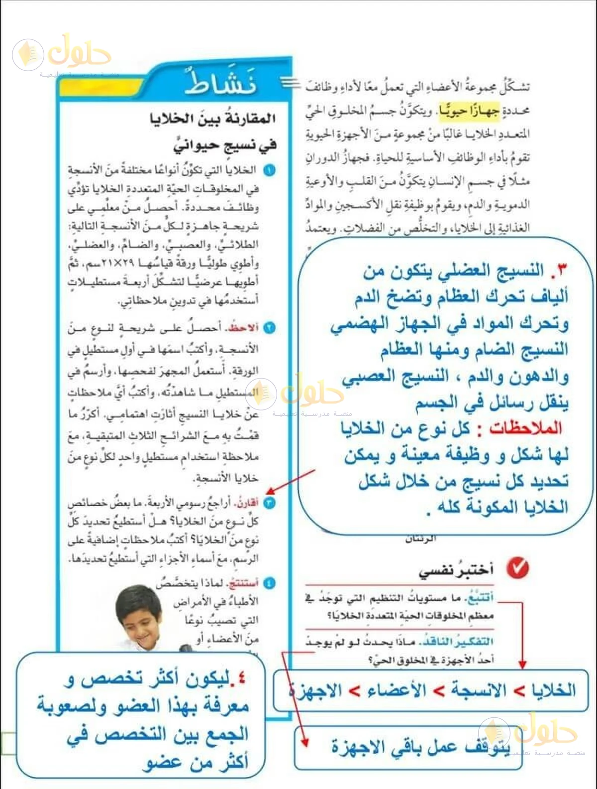 حل العلوم للصف السادس الابتدائي صفحة 27