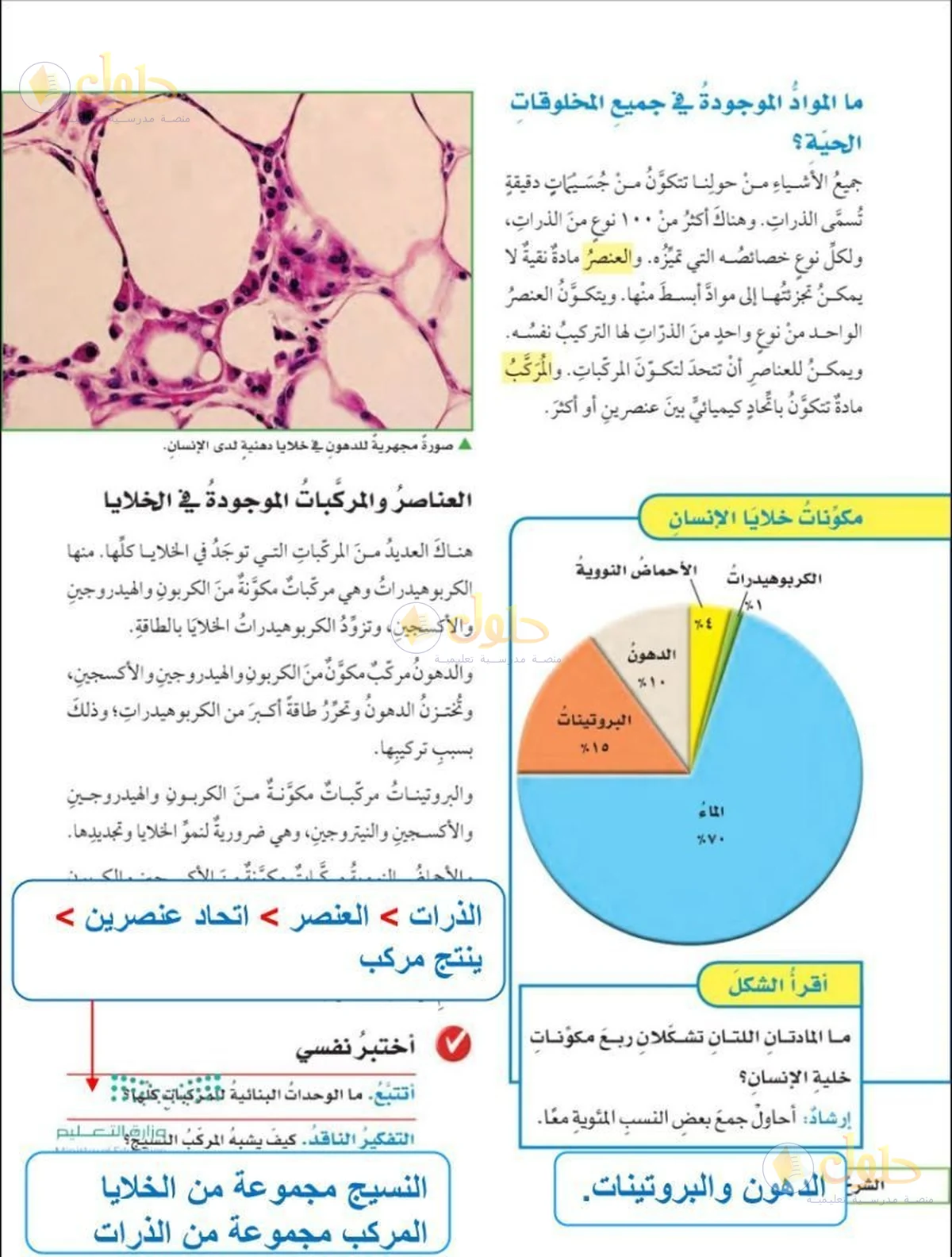 حل العلوم للصف السادس الابتدائي صفحة 28
