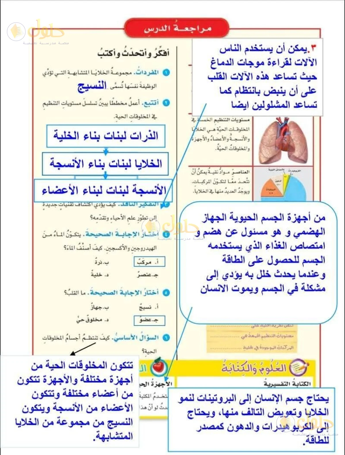 حل العلوم للصف السادس الابتدائي صفحة 29