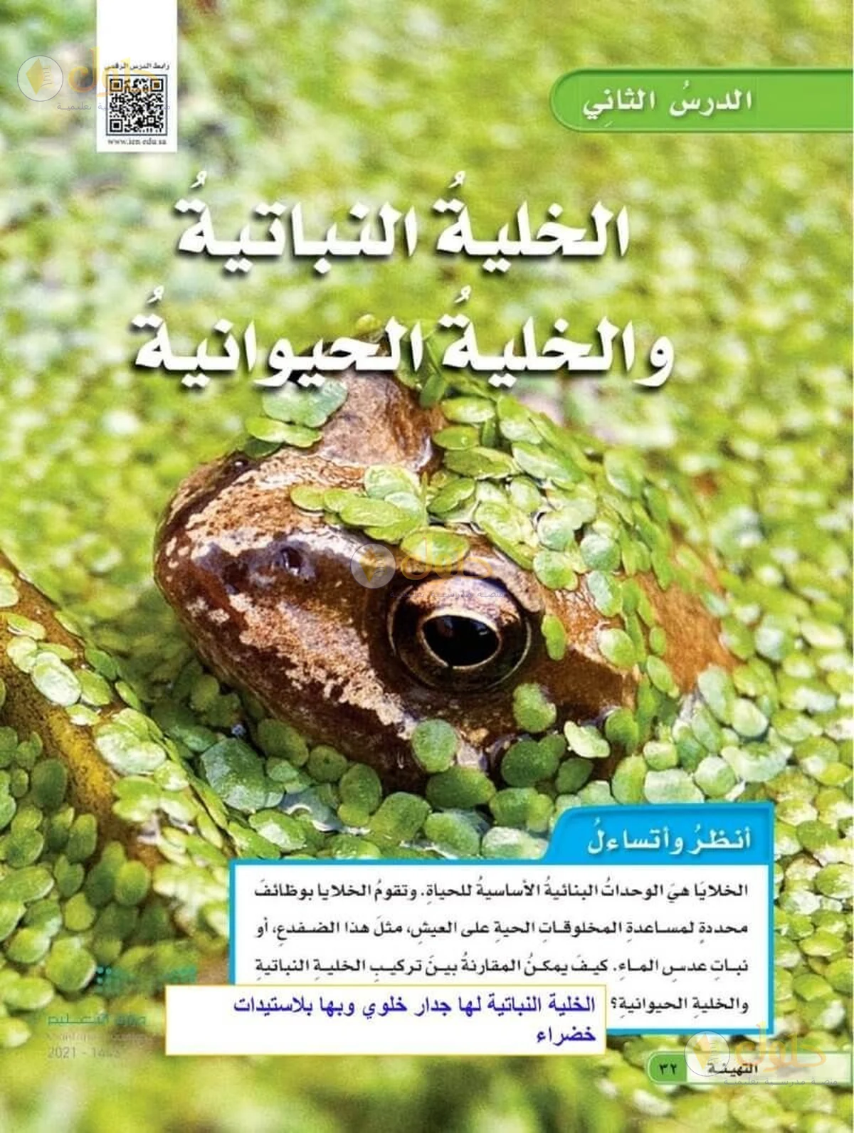 حل العلوم للصف السادس الابتدائي صفحة 32