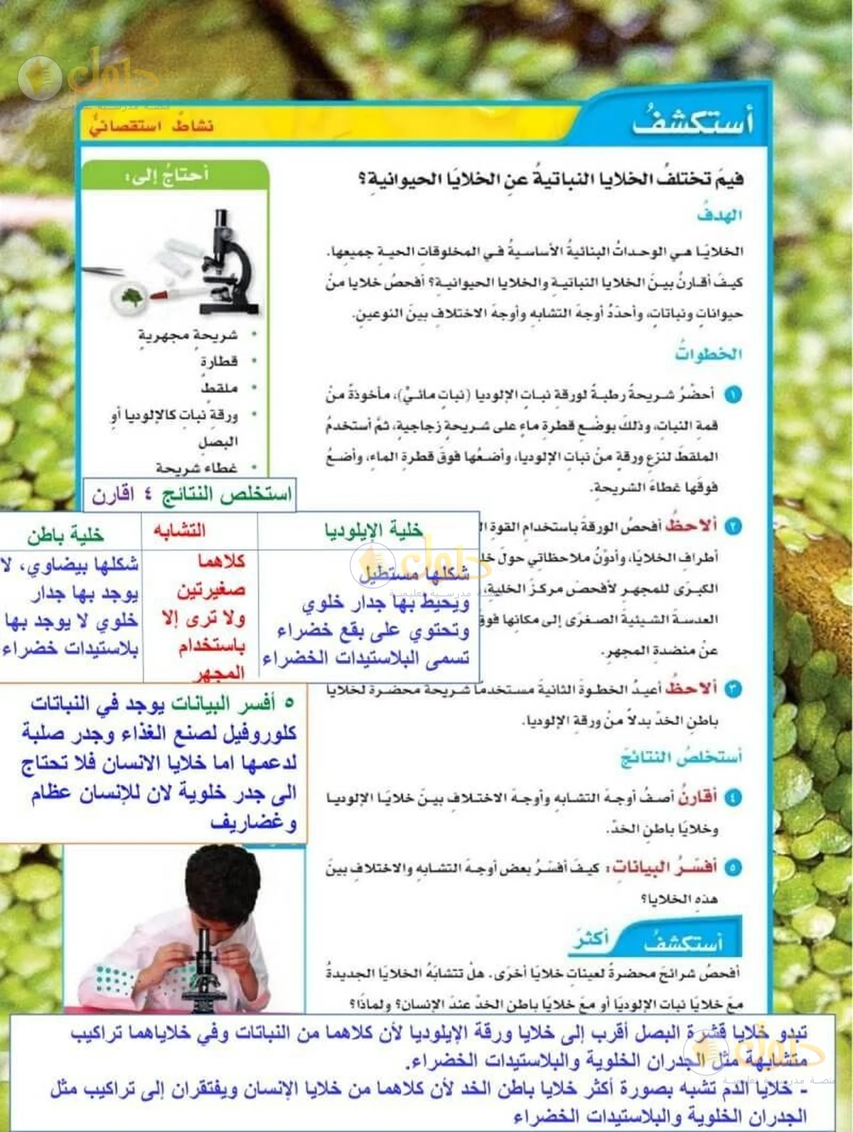 حل العلوم للصف السادس الابتدائي صفحة 33