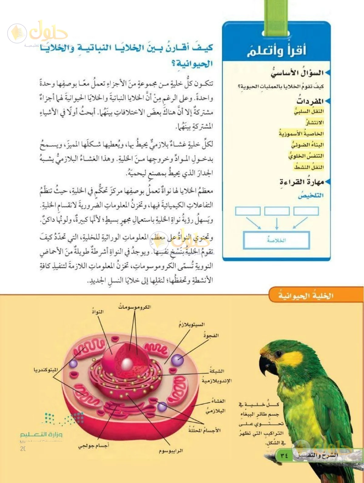 حل العلوم للصف السادس الابتدائي صفحة 34