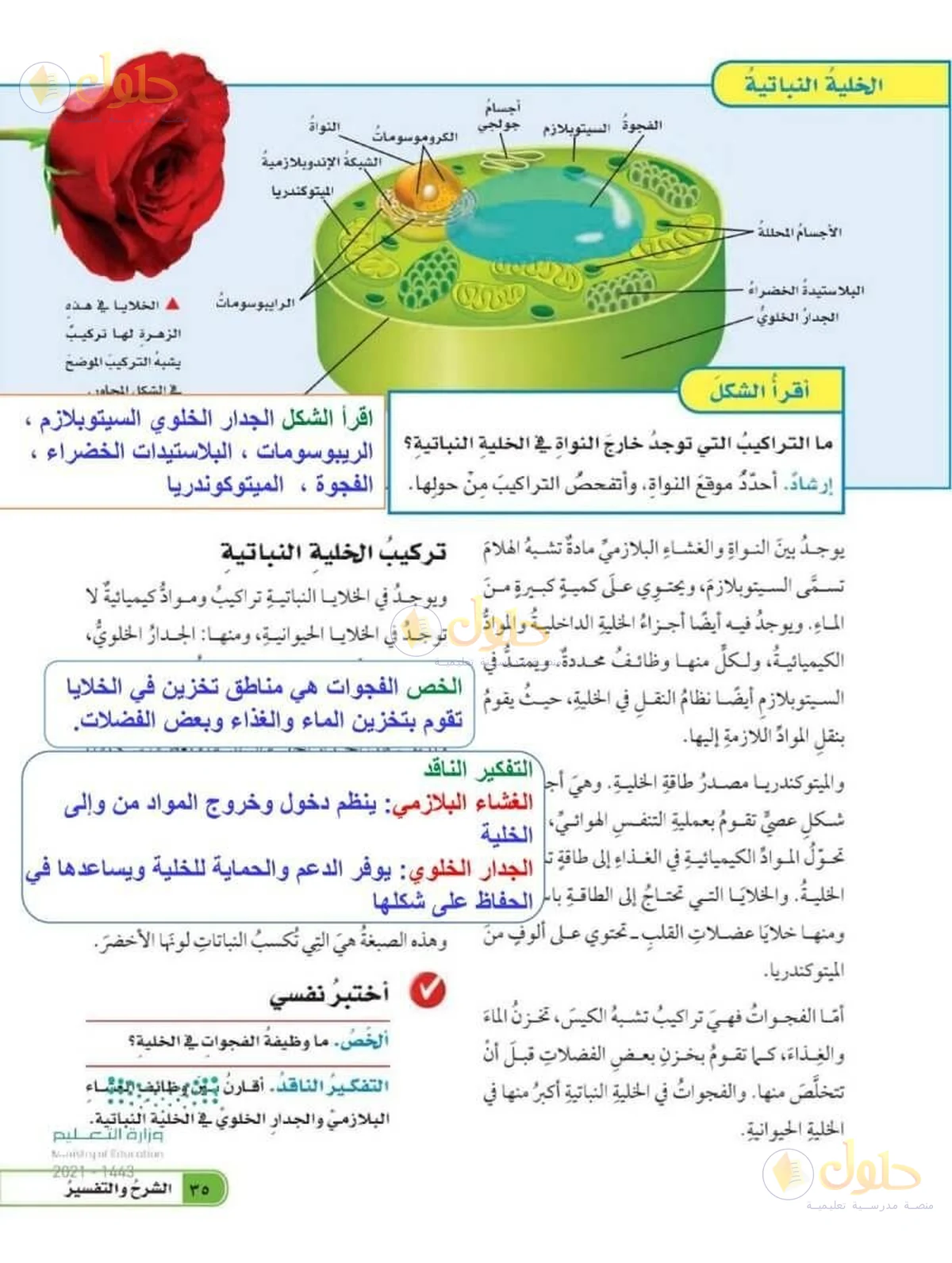 حل العلوم للصف السادس الابتدائي صفحة 35