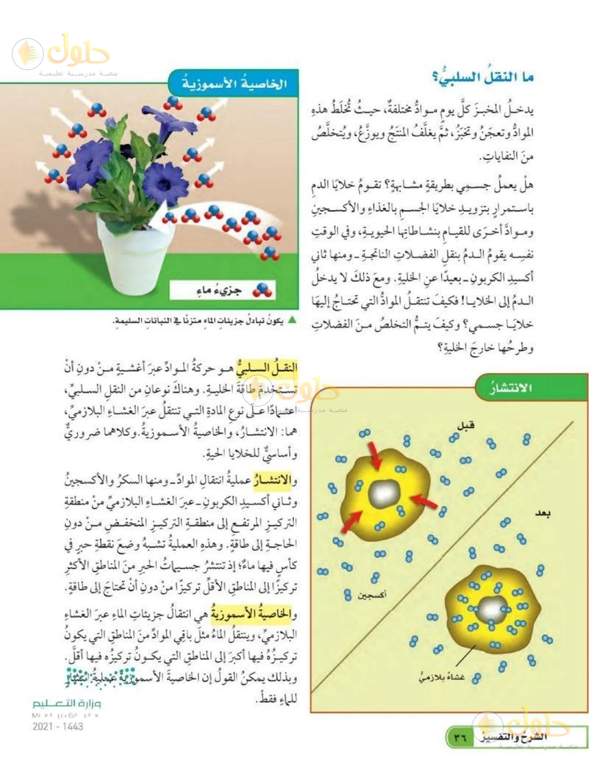 حل العلوم للصف السادس الابتدائي صفحة 36