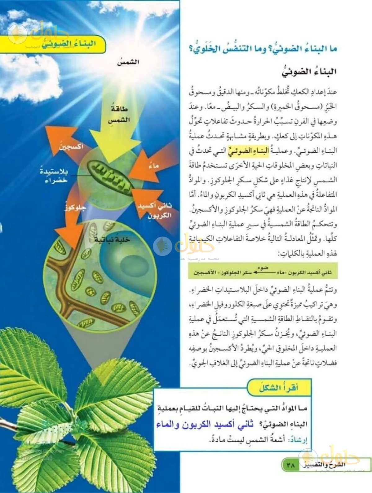 حل العلوم للصف السادس الابتدائي صفحة 38