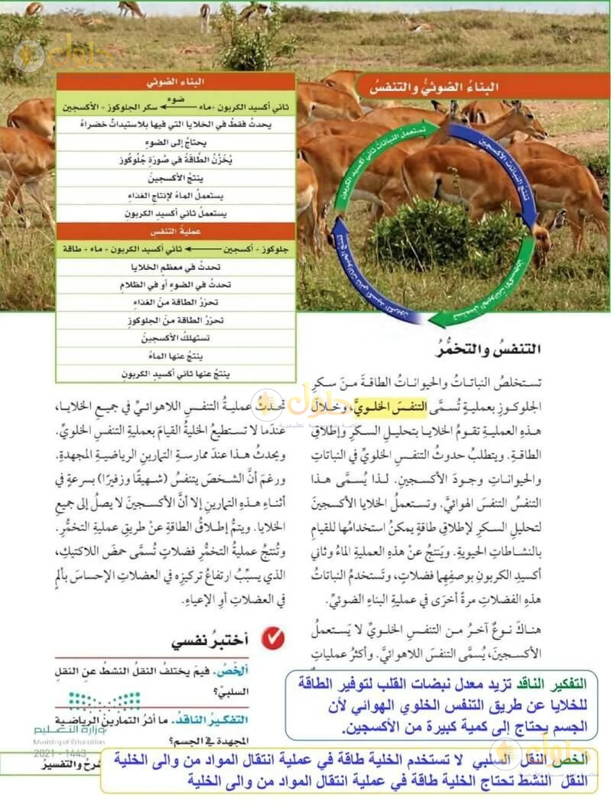 حل العلوم للصف السادس الابتدائي صفحة 39