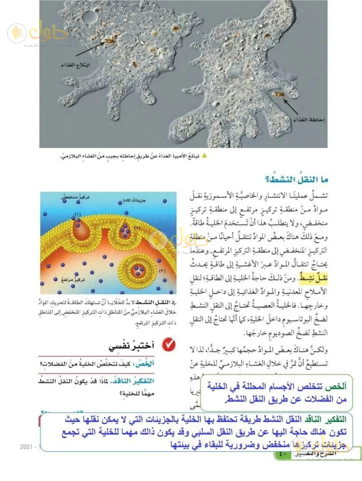 حل العلوم للصف السادس الابتدائي صفحة 40