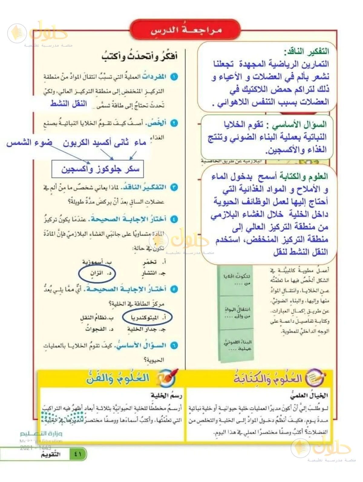 حل العلوم للصف السادس الابتدائي صفحة 41 — الجزء 1