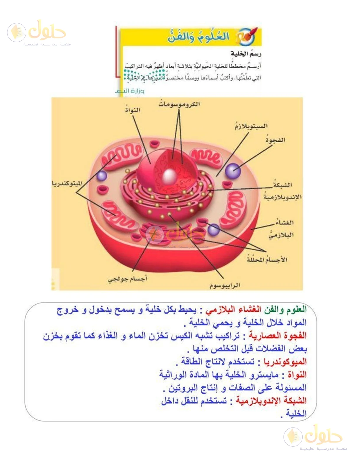 حل العلوم للصف السادس الابتدائي صفحة 41 — الجزء 2