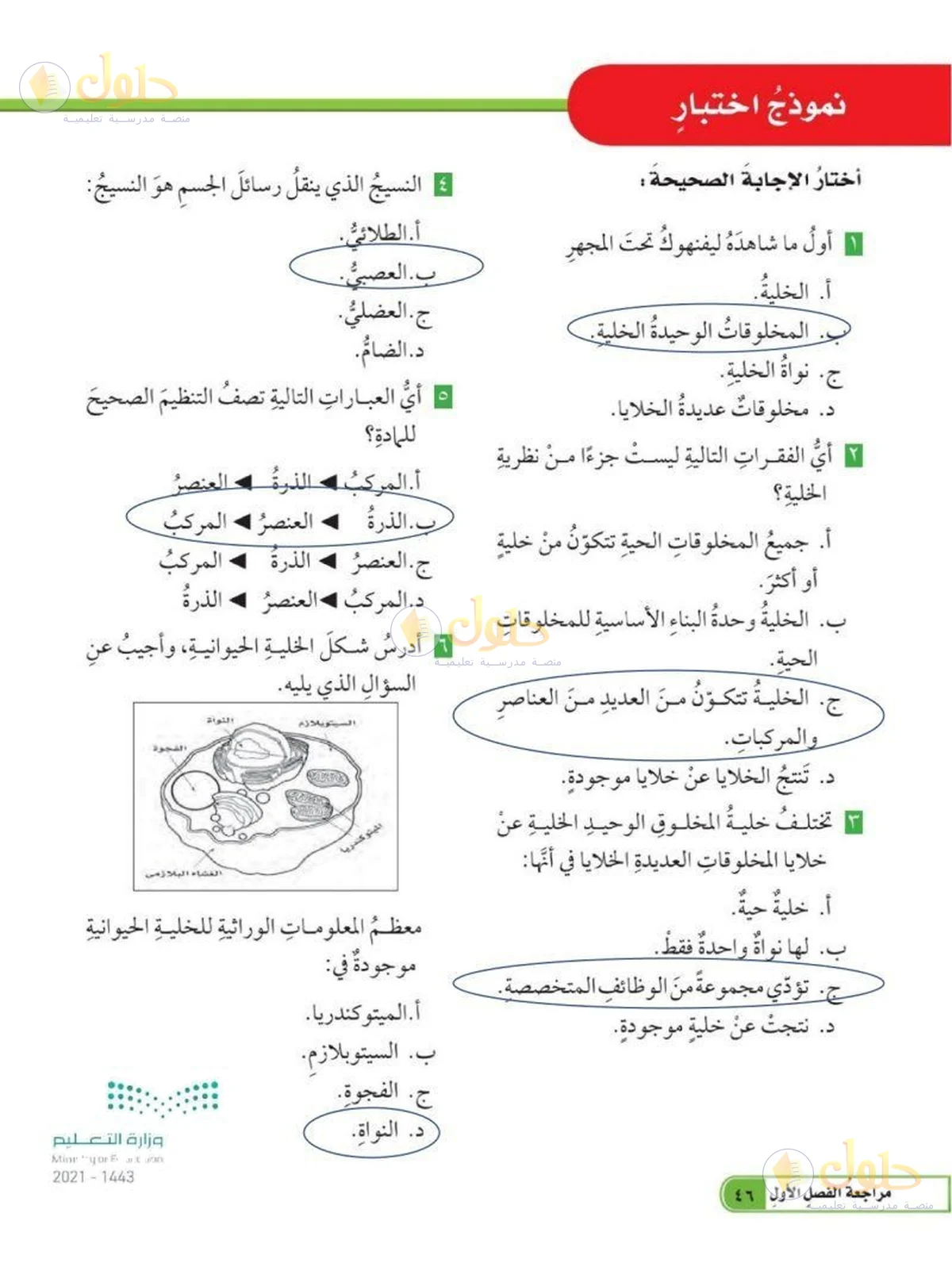 حل العلوم للصف السادس الابتدائي صفحة 46