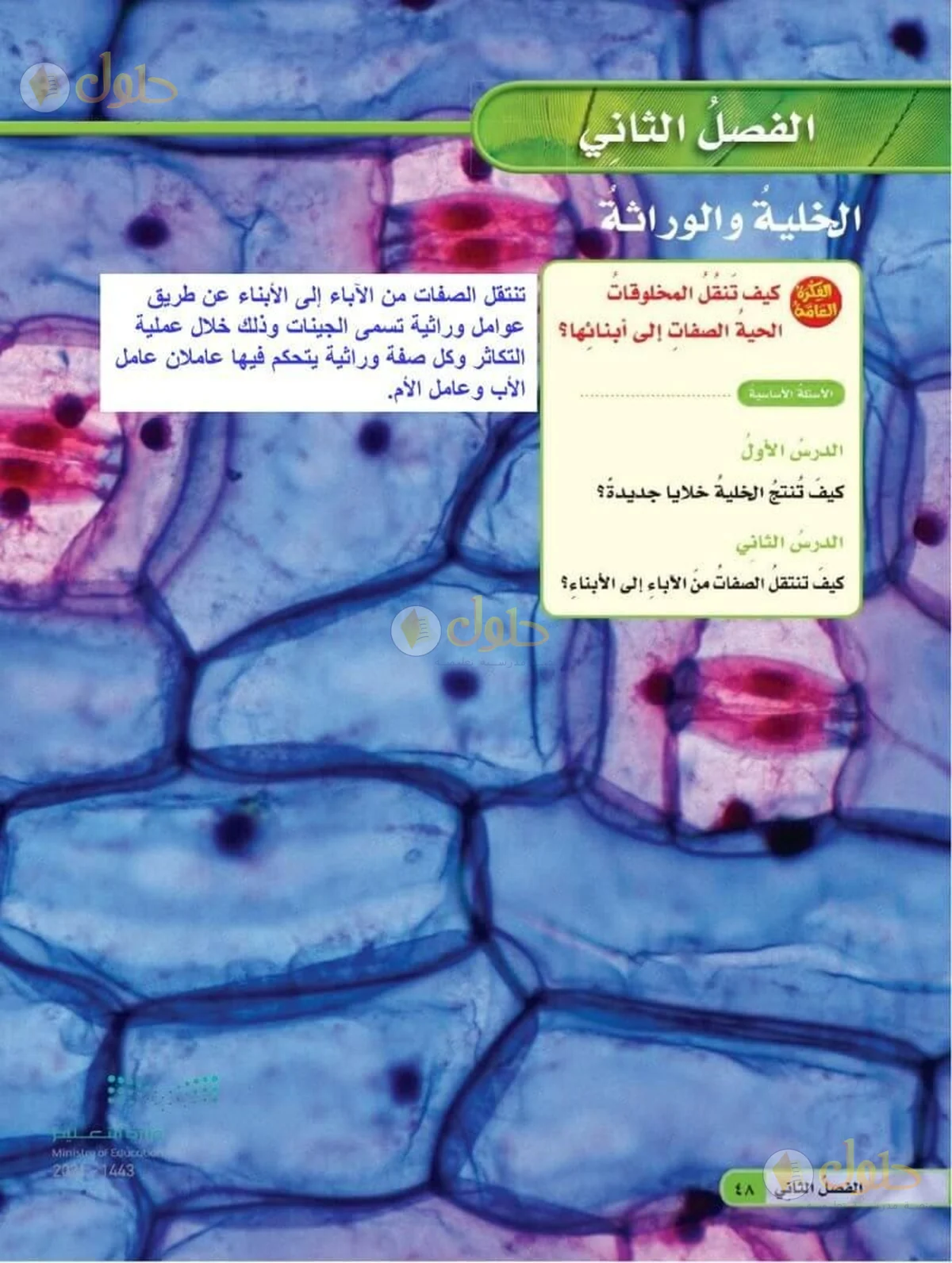 حل العلوم للصف السادس الابتدائي صفحة 48