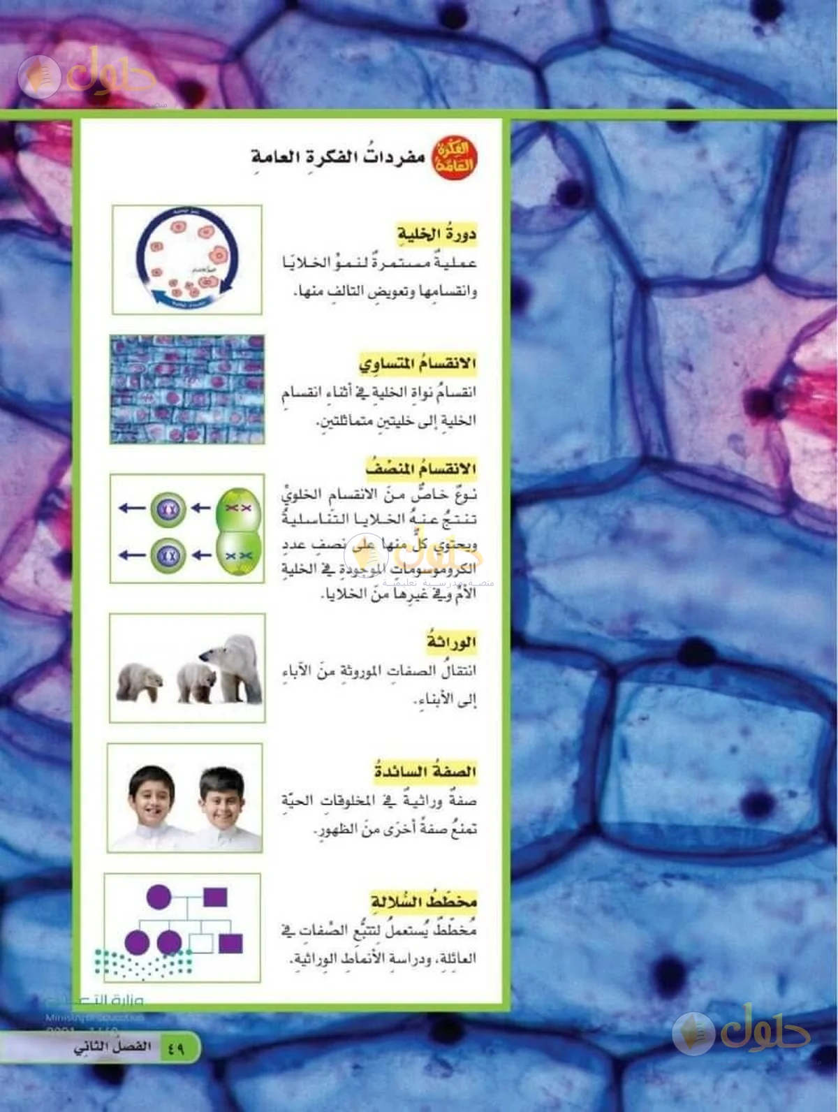 حل العلوم للصف السادس الابتدائي صفحة 49
