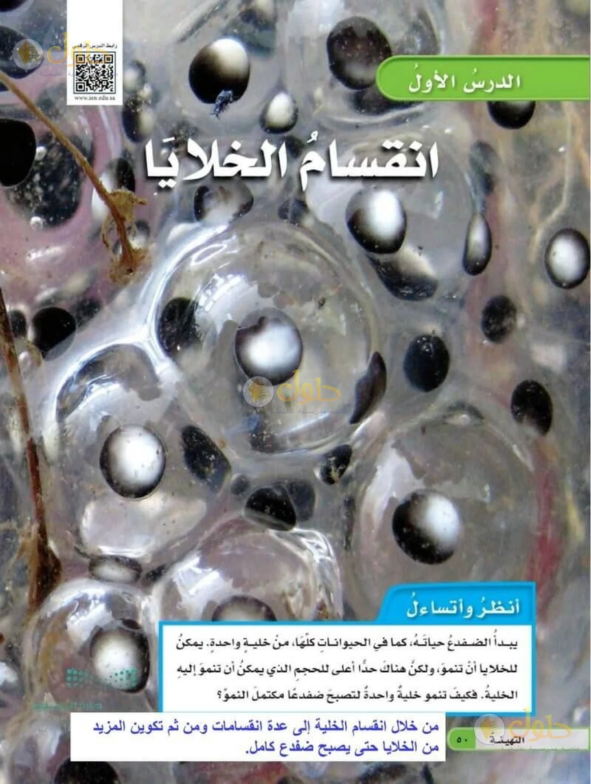 حل العلوم للصف السادس الابتدائي صفحة 50