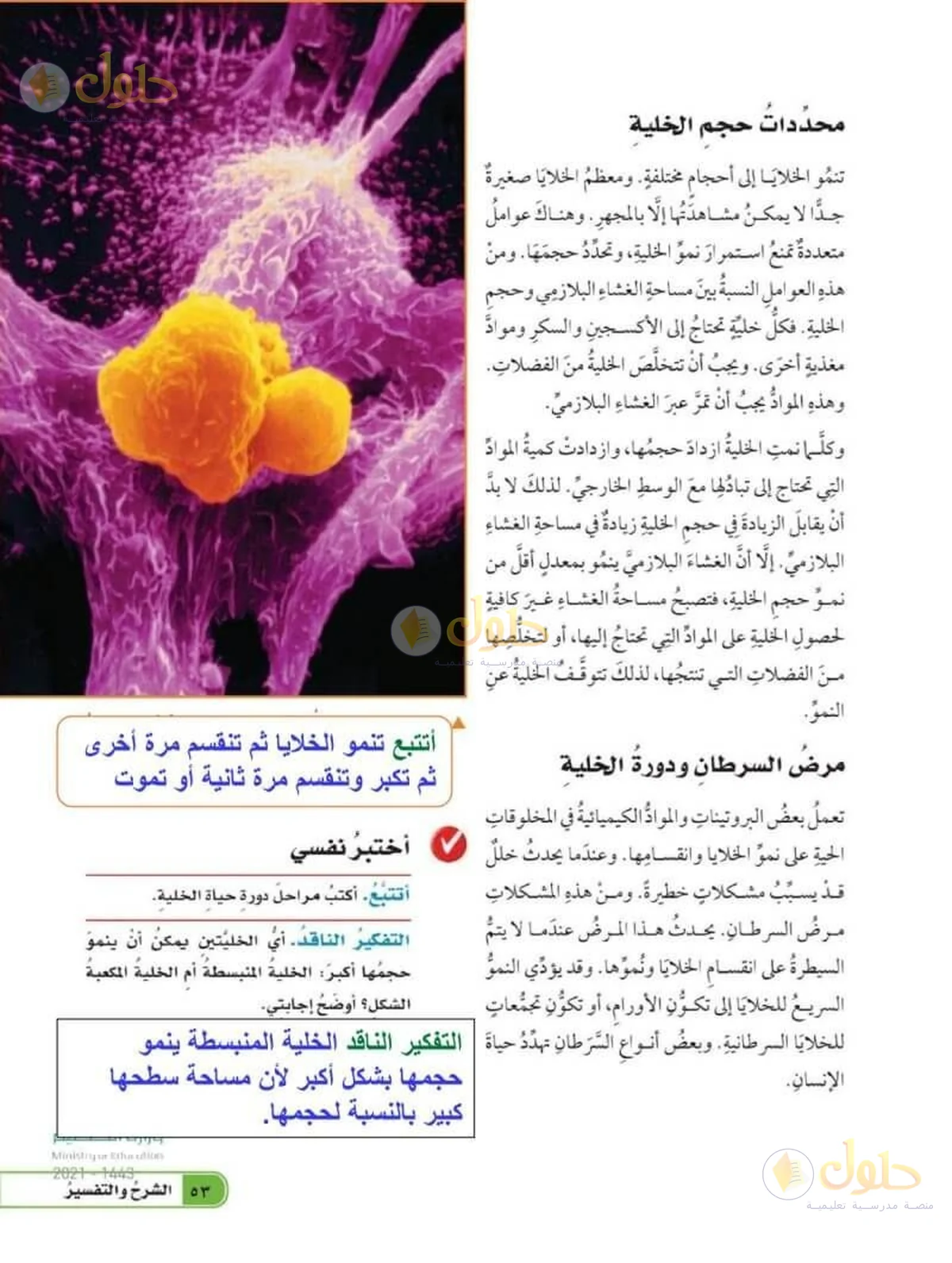 حل العلوم للصف السادس الابتدائي صفحة 53