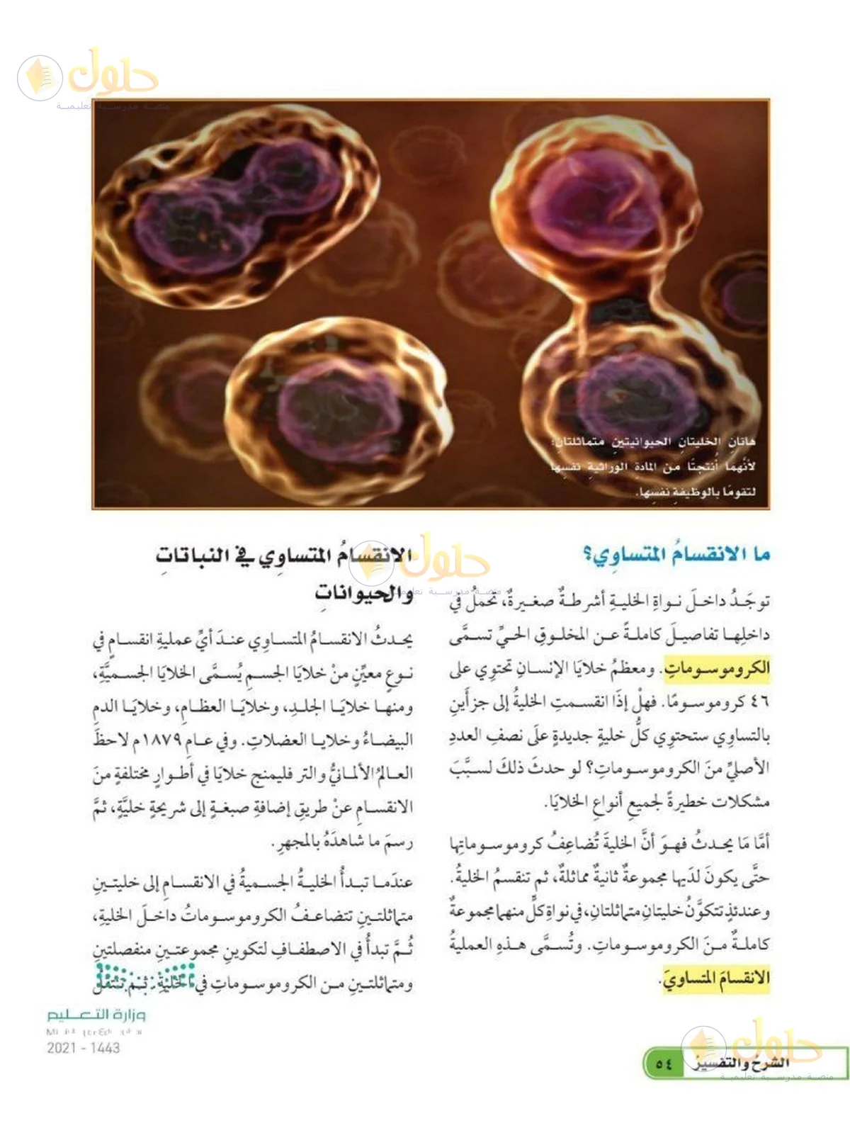 حل العلوم للصف السادس الابتدائي صفحة 54