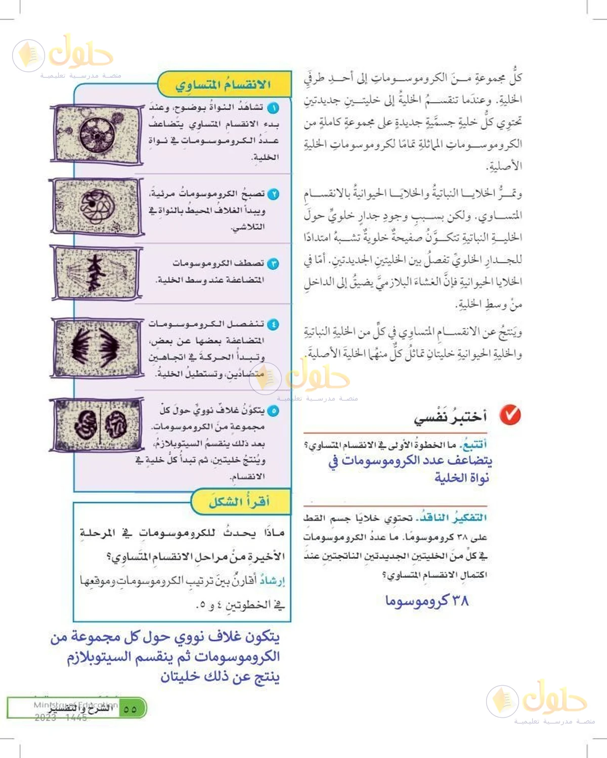 حل العلوم للصف السادس الابتدائي صفحة 55
