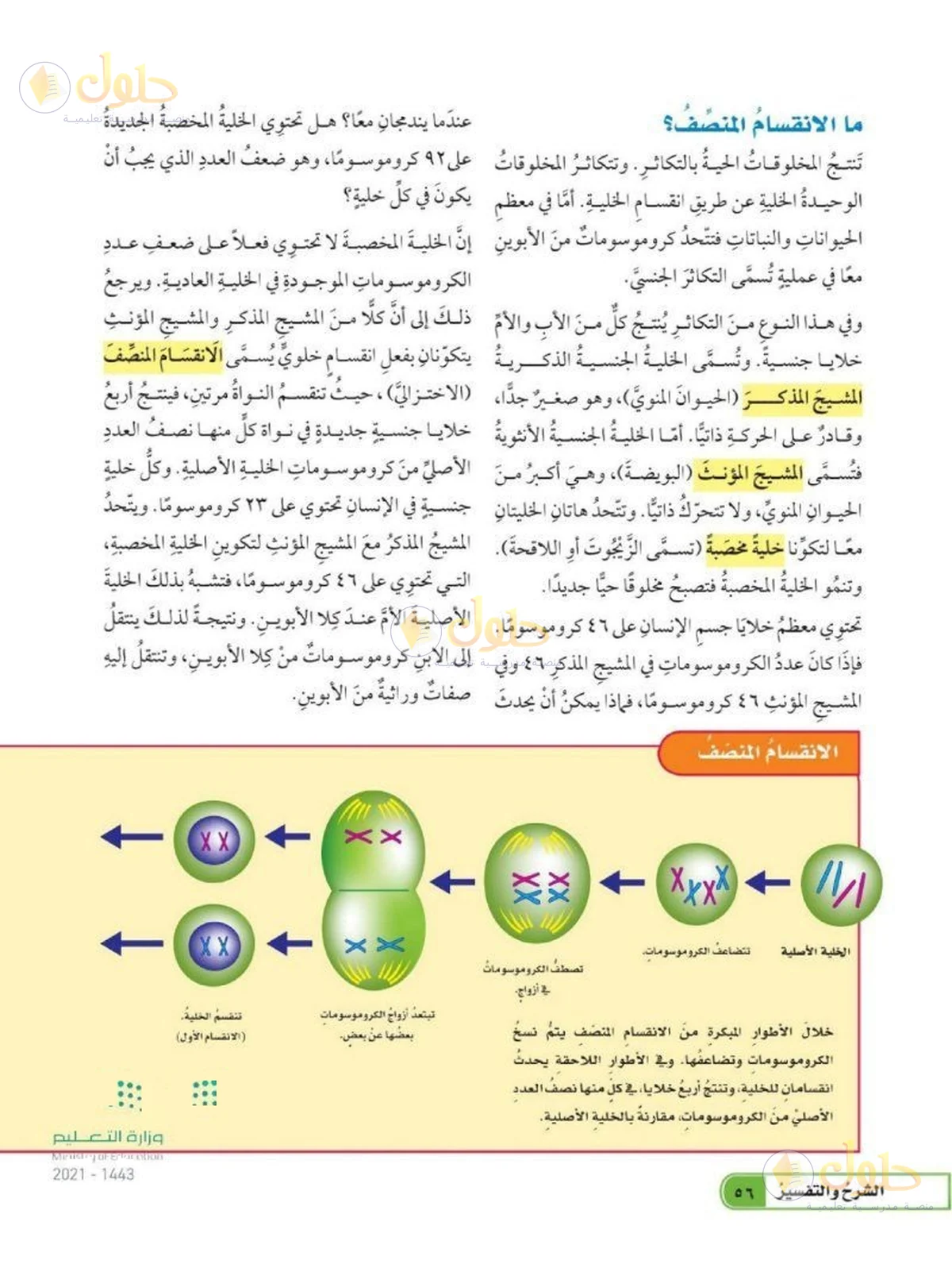 حل العلوم للصف السادس الابتدائي صفحة 56