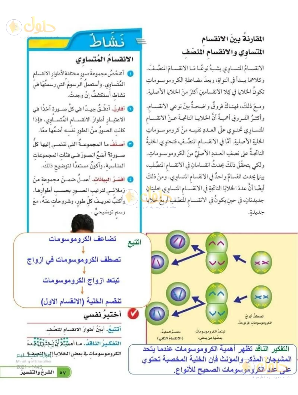حل العلوم للصف السادس الابتدائي صفحة 57