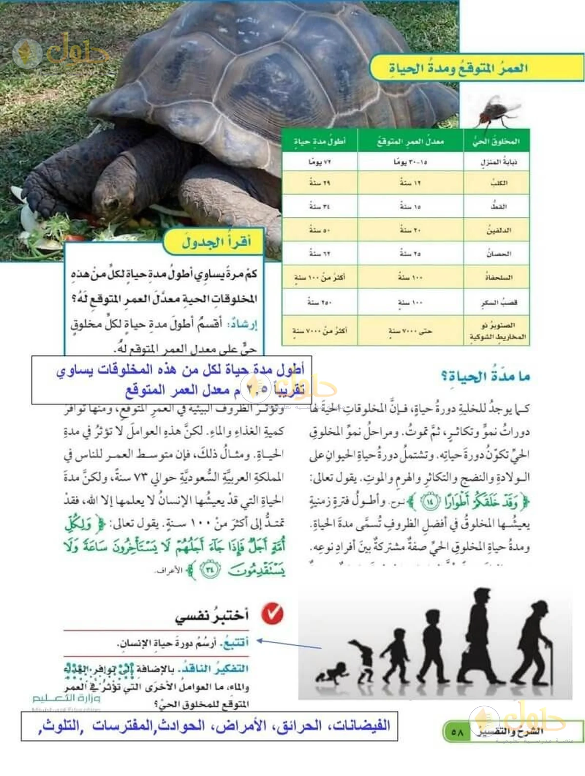 حل العلوم للصف السادس الابتدائي صفحة 58
