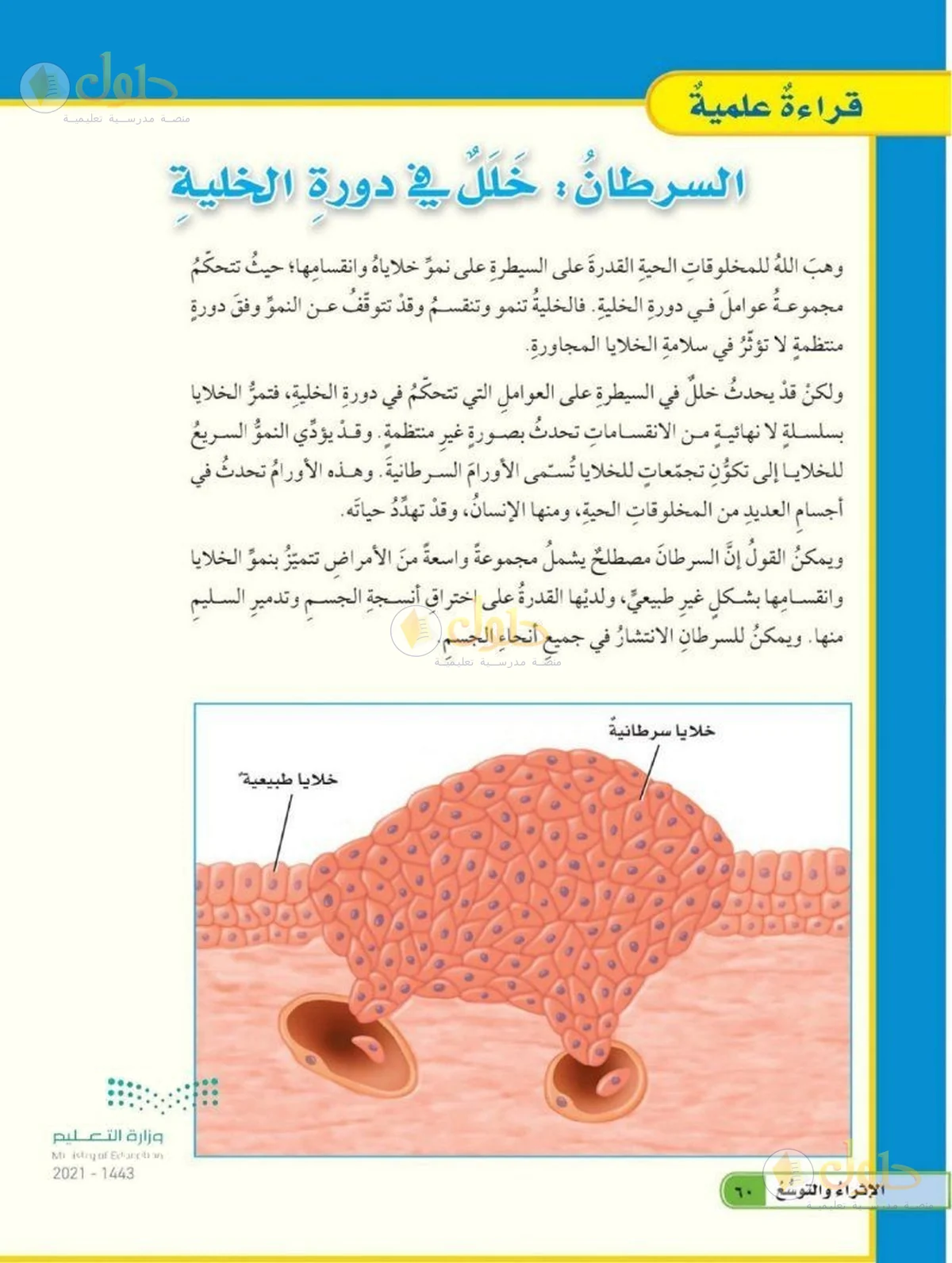 حل العلوم للصف السادس الابتدائي صفحة 60