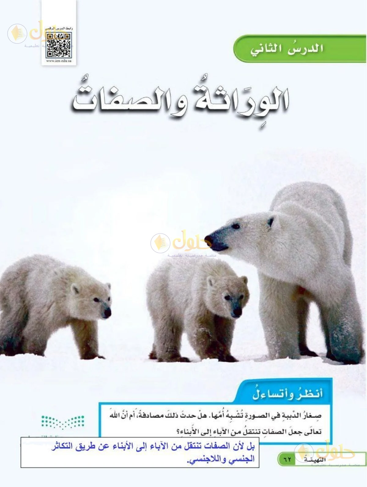 حل العلوم للصف السادس الابتدائي صفحة 62