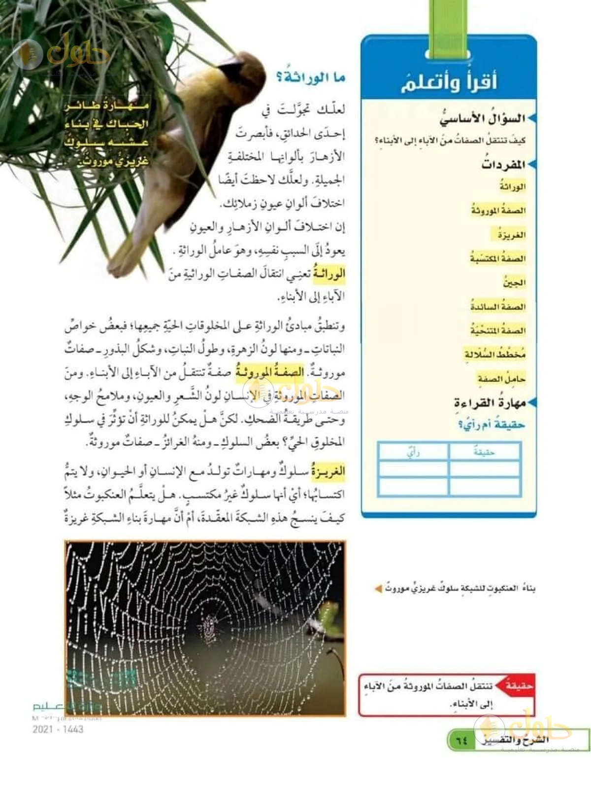 حل العلوم للصف السادس الابتدائي صفحة 64