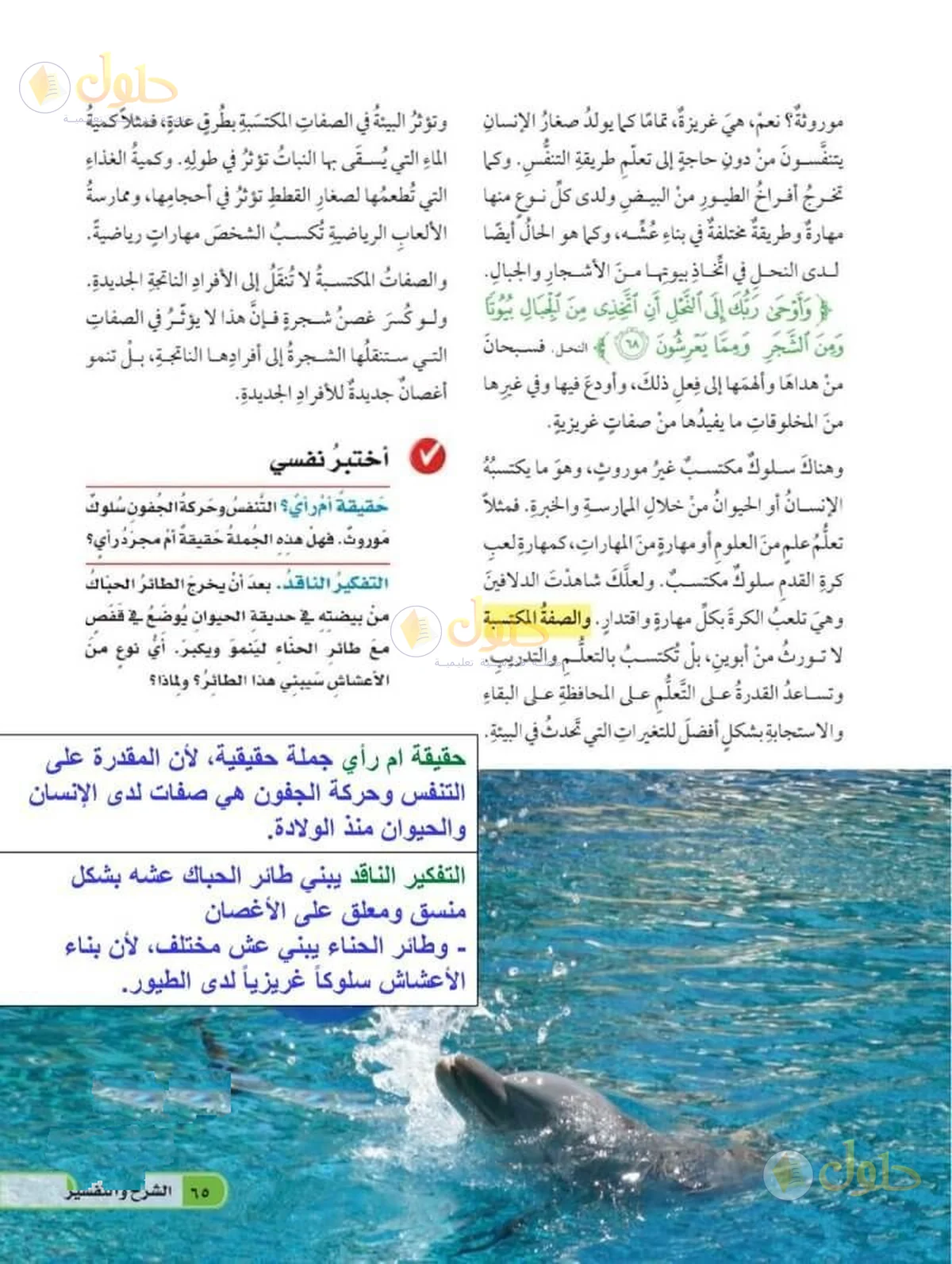 حل العلوم للصف السادس الابتدائي صفحة 65