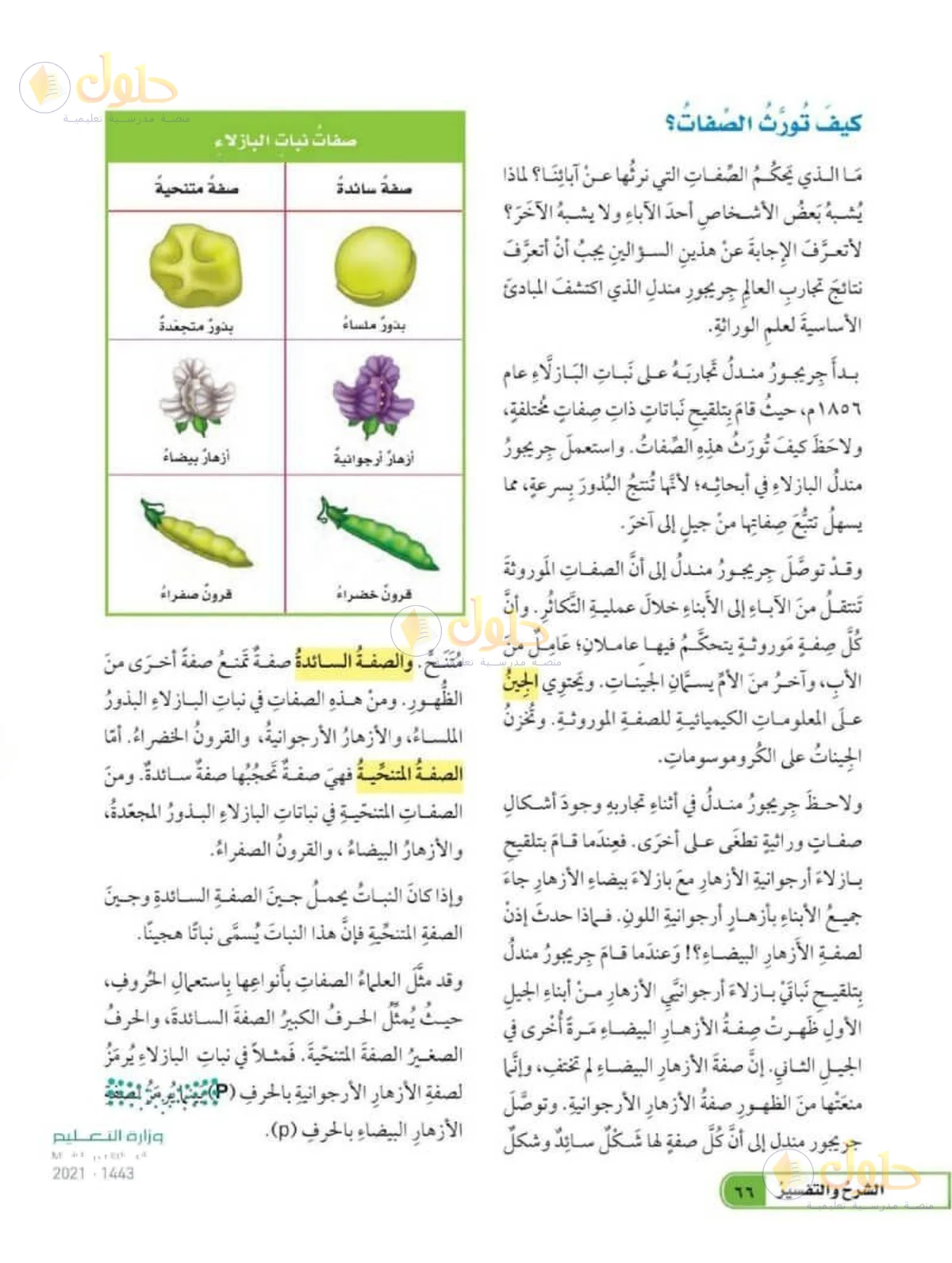 حل العلوم للصف السادس الابتدائي صفحة 66
