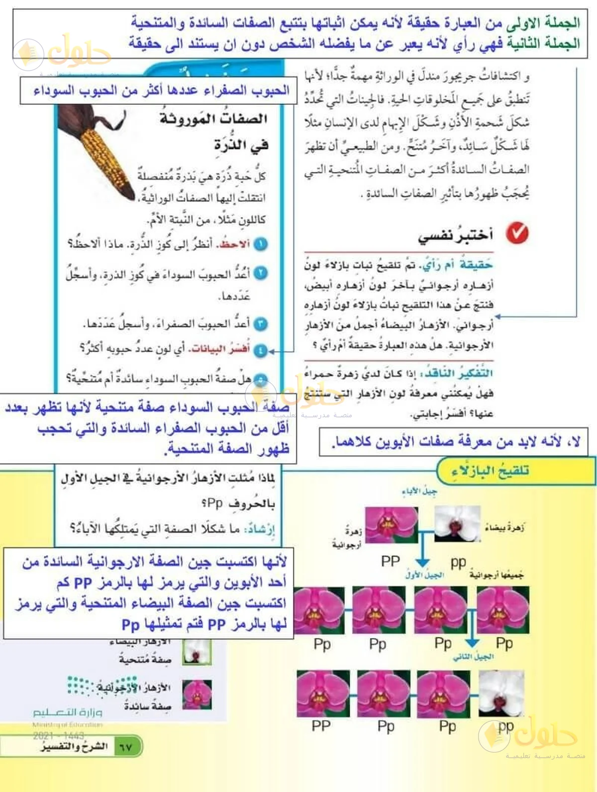 حل العلوم للصف السادس الابتدائي صفحة 67