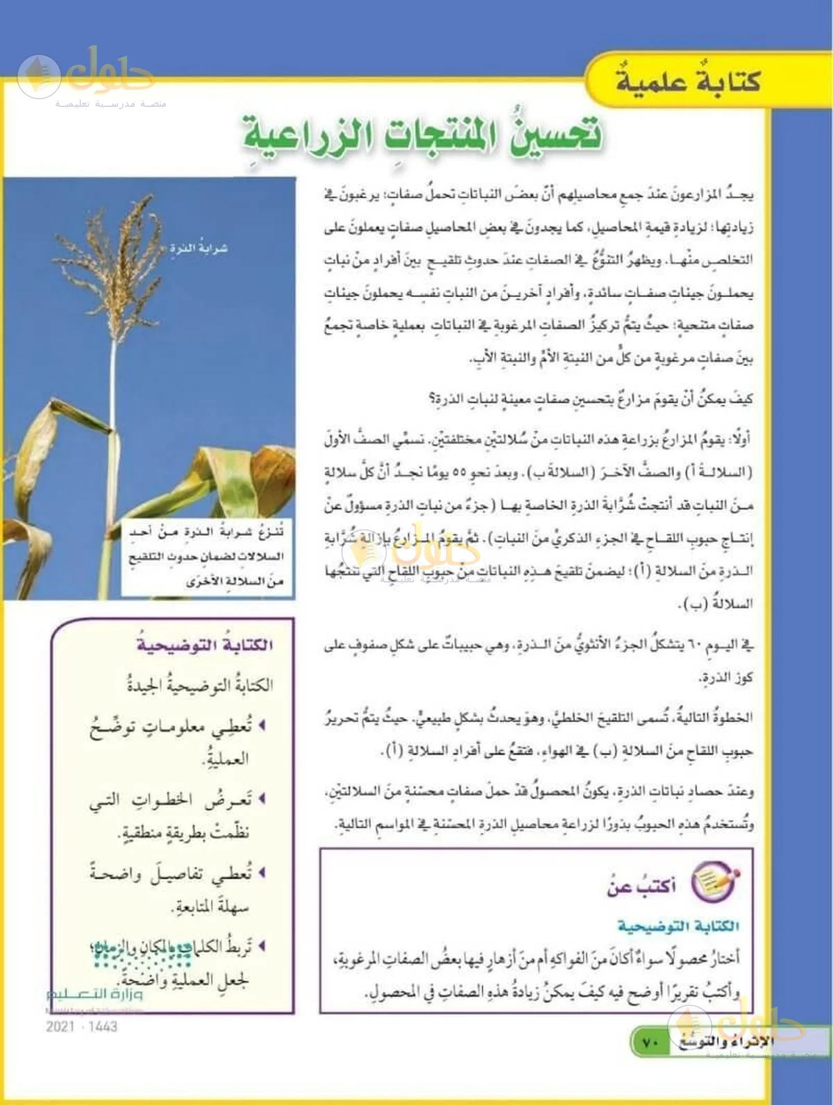 حل العلوم للصف السادس الابتدائي صفحة 70