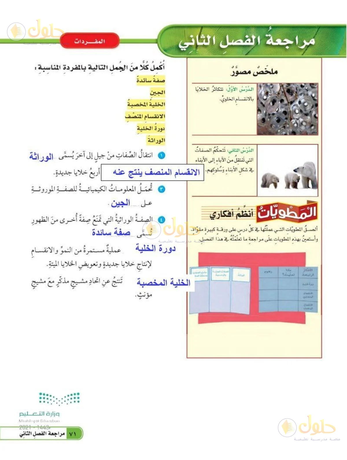 حل العلوم للصف السادس الابتدائي صفحة 71