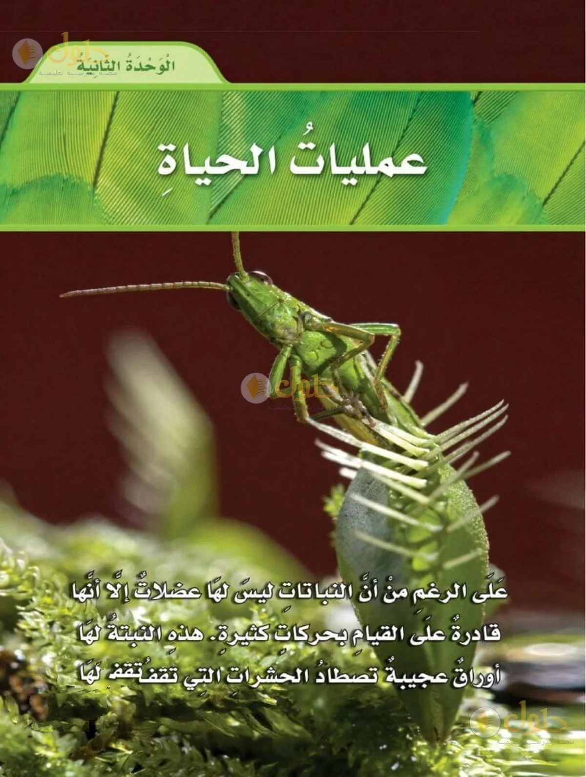 حل العلوم للصف السادس الابتدائي صفحة 75
