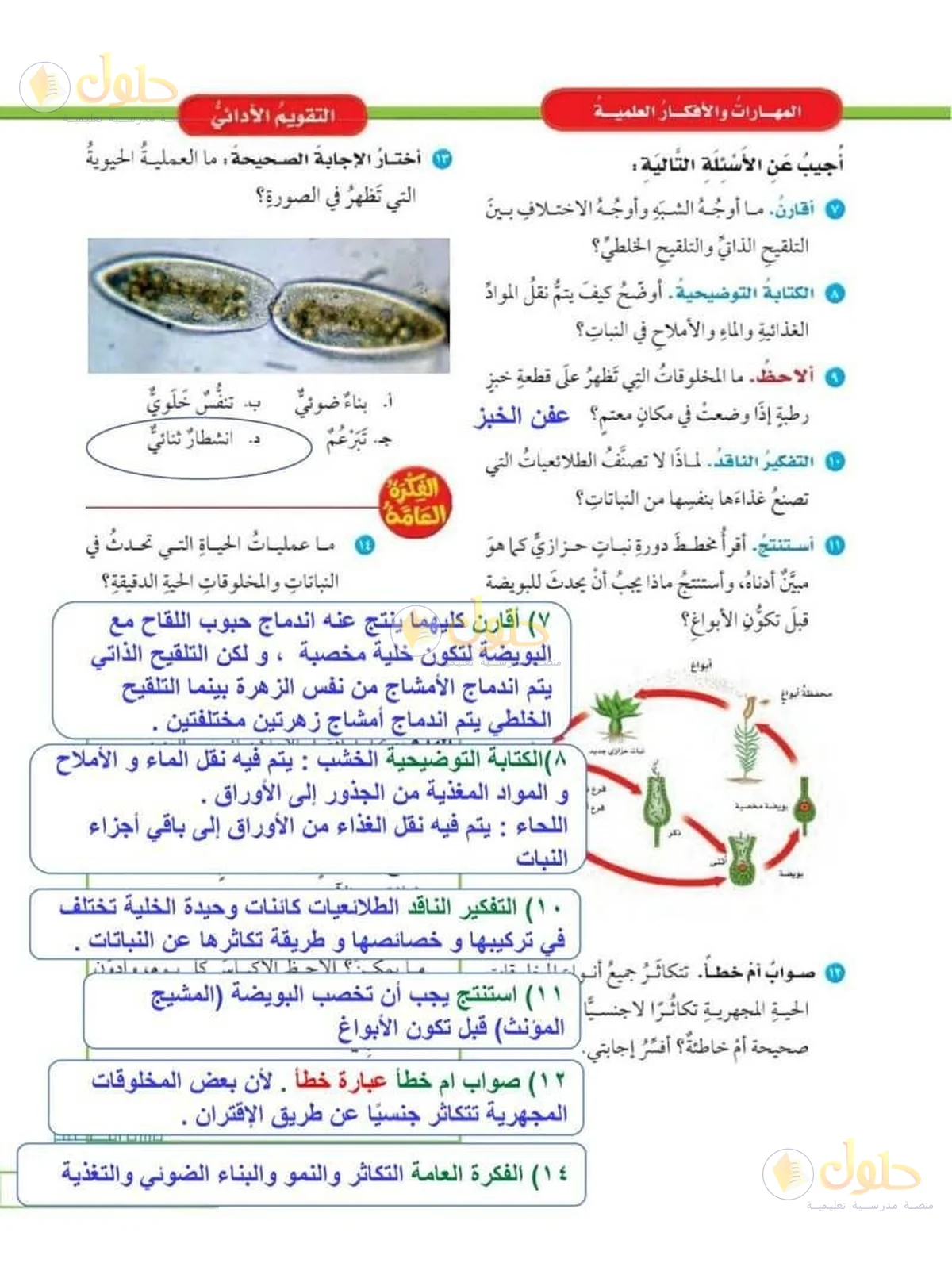 حل العلوم للصف السادس الابتدائي صفحة 103